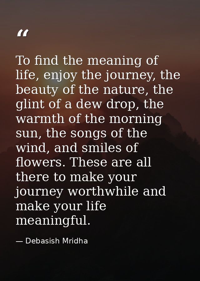 To find the meaning of life, enjoy the journey, the beauty of the nature, the glint of a dew drop, the warmth of the mor — Debasish Mridha