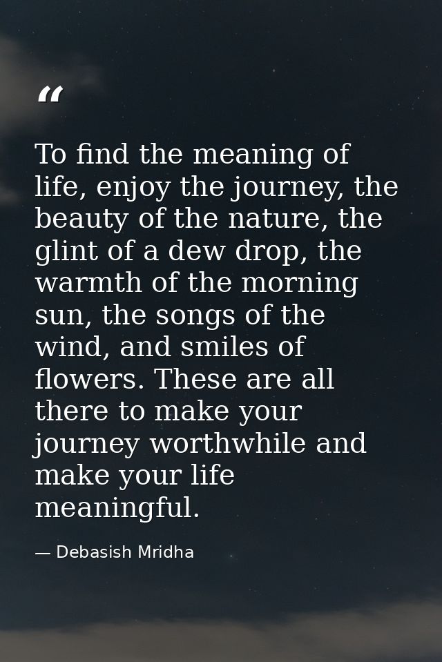 To find the meaning of life, enjoy the journey, the beauty of the nature, the glint of a dew drop, the warmth of the mor — Debasish Mridha