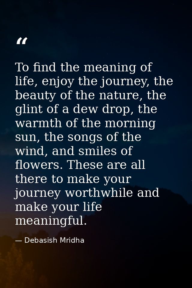 To find the meaning of life, enjoy the journey, the beauty of the nature, the glint of a dew drop, the warmth of the mor — Debasish Mridha