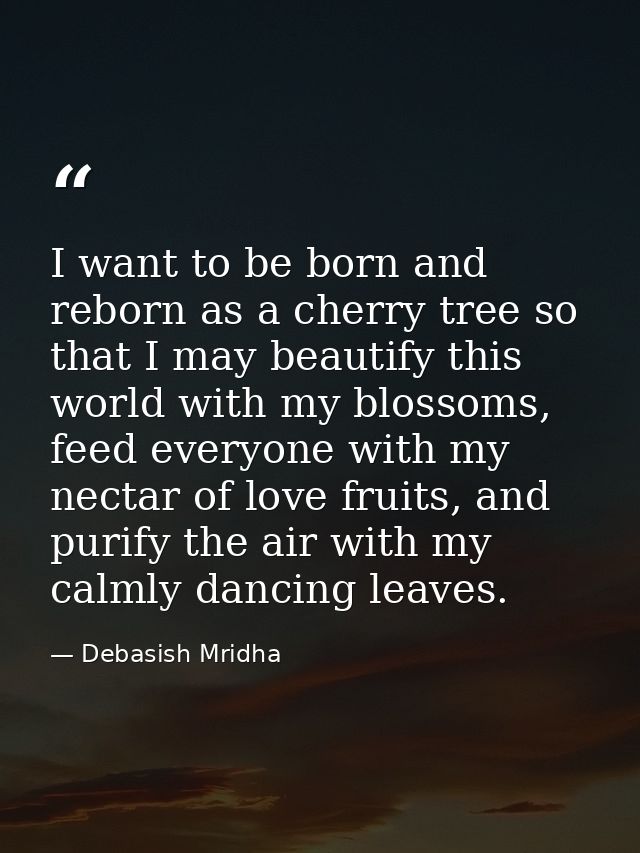 I want to be born and reborn as a cherry tree so that I may beautify this world with my blossoms, feed everyone with my  — Debasish Mridha
