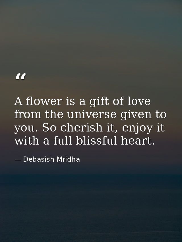 A flower is a gift of love from the universe given to you. So cherish it, enjoy it with a full blissful heart. — Debasish Mridha
