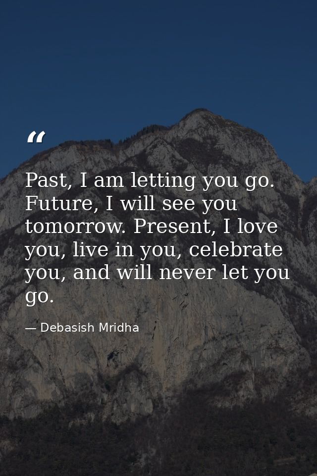 Past, I am letting you go. Future, I will see you tomorrow. Present, I love you, live in you, celebrate you, and will ne — Debasish Mridha