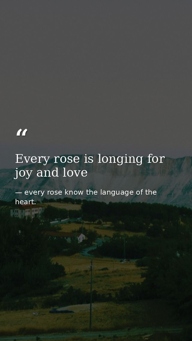 Every rose is longing for joy and love — every rose know the language of the heart.