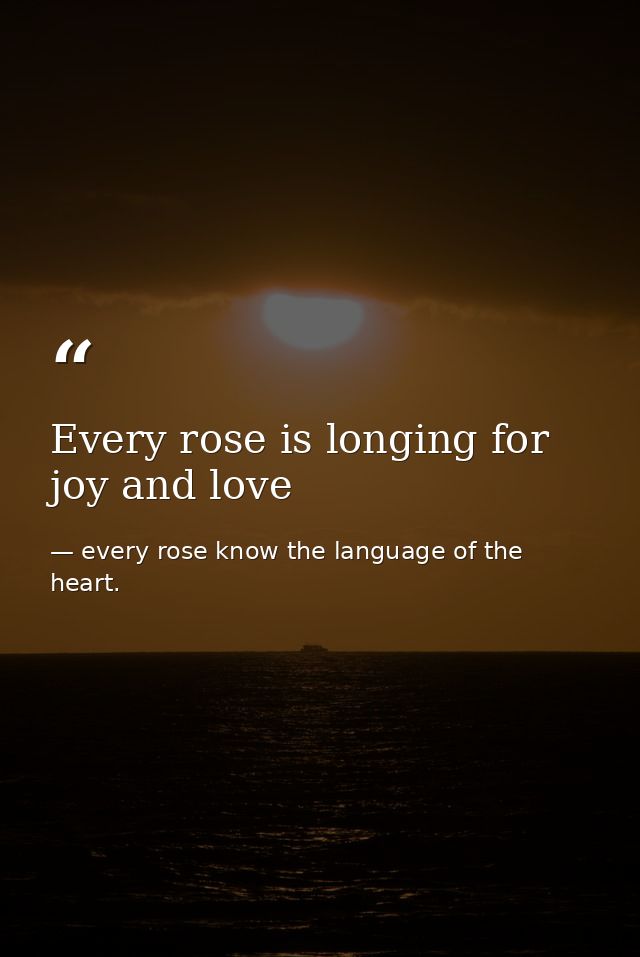 Every rose is longing for joy and love — every rose know the language of the heart.