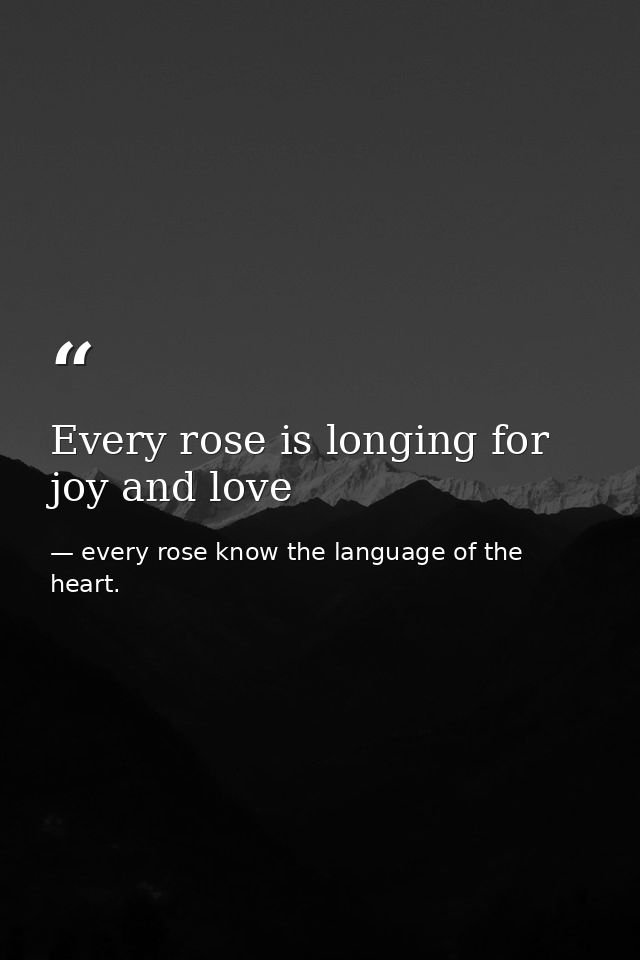 Every rose is longing for joy and love — every rose know the language of the heart.