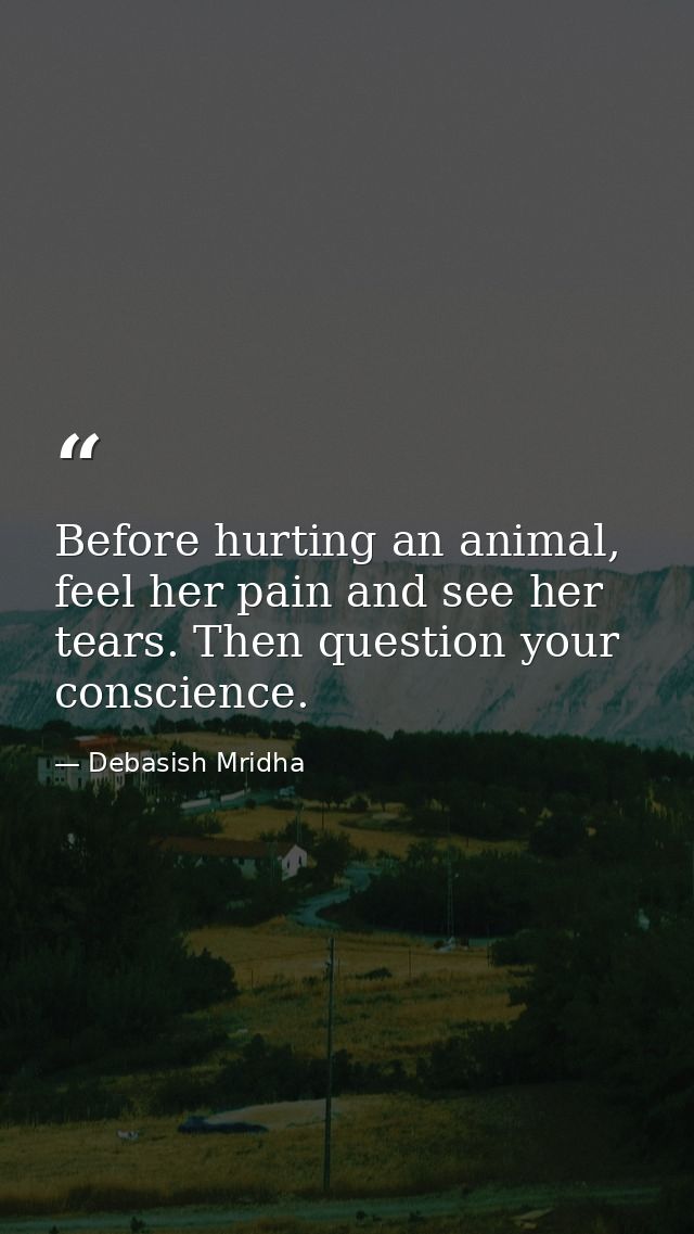 Before hurting an animal, feel her pain and see her tears. Then question your conscience. — Debasish Mridha