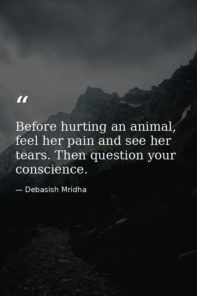 Before hurting an animal, feel her pain and see her tears. Then question your conscience. — Debasish Mridha
