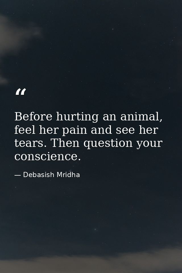 Before hurting an animal, feel her pain and see her tears. Then question your conscience. — Debasish Mridha