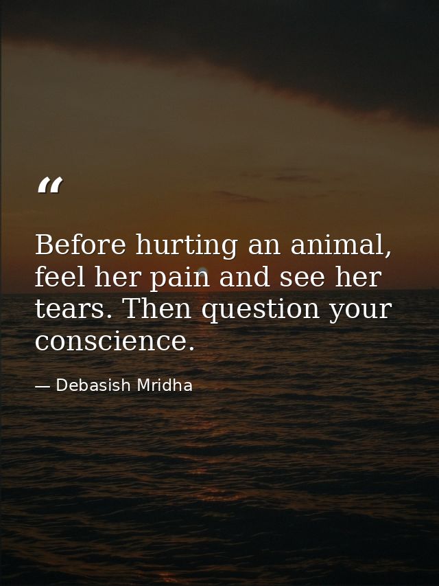 Before hurting an animal, feel her pain and see her tears. Then question your conscience. — Debasish Mridha