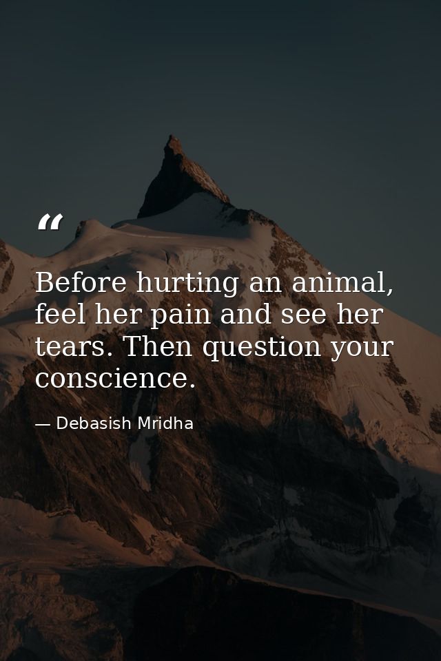 Before hurting an animal, feel her pain and see her tears. Then question your conscience. — Debasish Mridha