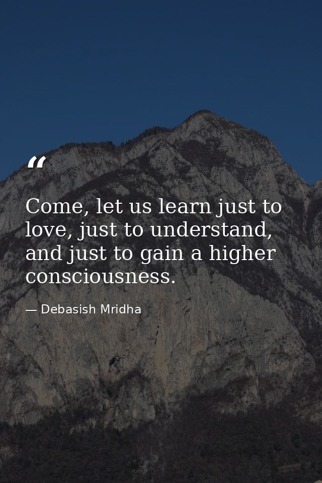 Come, let us learn just to love, just to understand, and just to gain a higher consciousness. — Debasish Mridha