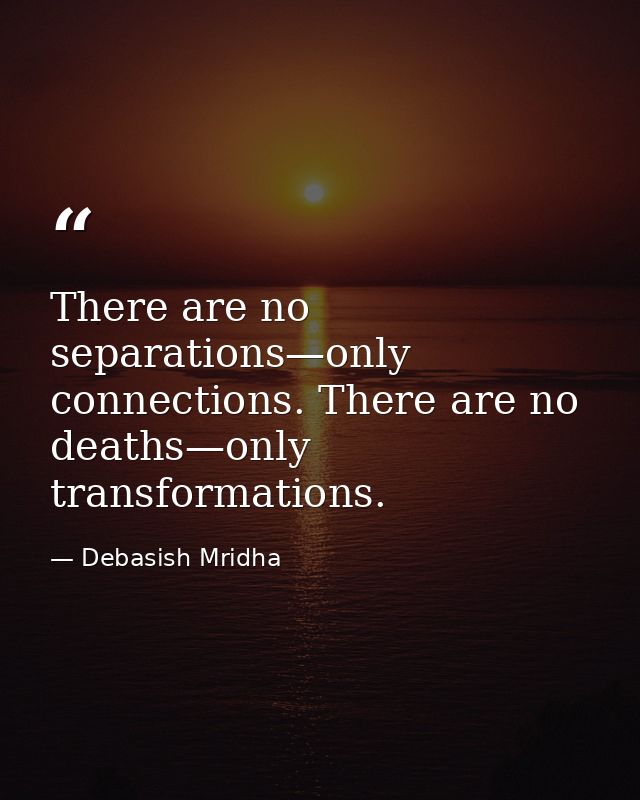 There are no separations—only connections. There are no deaths—only transformations. — Debasish Mridha