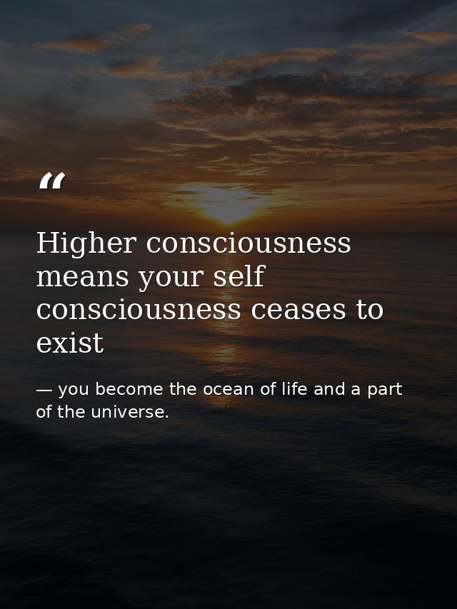 Higher consciousness means your self consciousness ceases to exist — you become the ocean of life and a part of the universe.