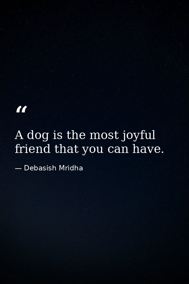 A dog is the most joyful friend that you can have. — Debasish Mridha