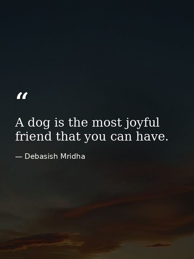 A dog is the most joyful friend that you can have. — Debasish Mridha