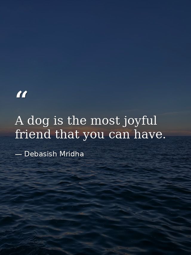 A dog is the most joyful friend that you can have. — Debasish Mridha