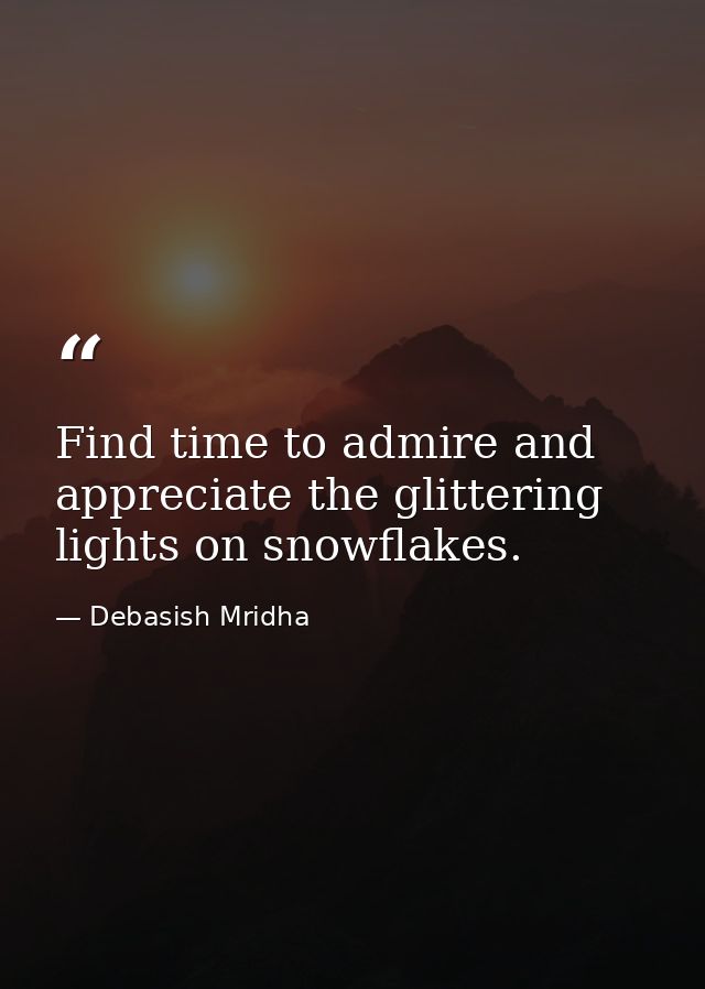 Find time to admire and appreciate the glittering lights on snowflakes. — Debasish Mridha