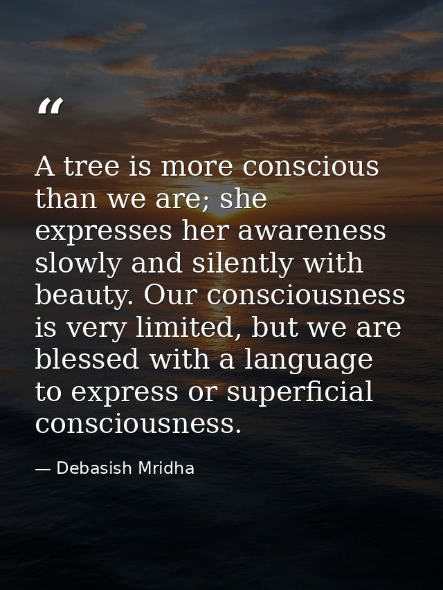 A tree is more conscious than we are; she expresses her awareness slowly and silently with beauty. Our consciousness is  — Debasish Mridha