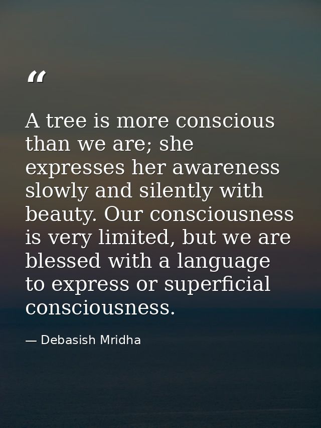 A tree is more conscious than we are; she expresses her awareness slowly and silently with beauty. Our consciousness is  — Debasish Mridha