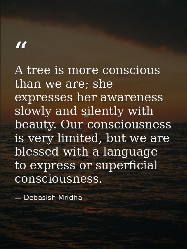 A tree is more conscious than we are; she expresses her awareness slowly and silently with beauty. Our consciousness is  — Debasish Mridha