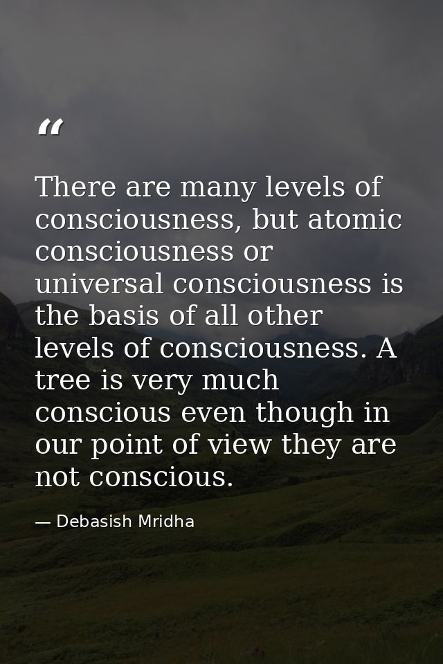 There are many levels of consciousness, but atomic consciousness or universal consciousness is the basis of all other le — Debasish Mridha