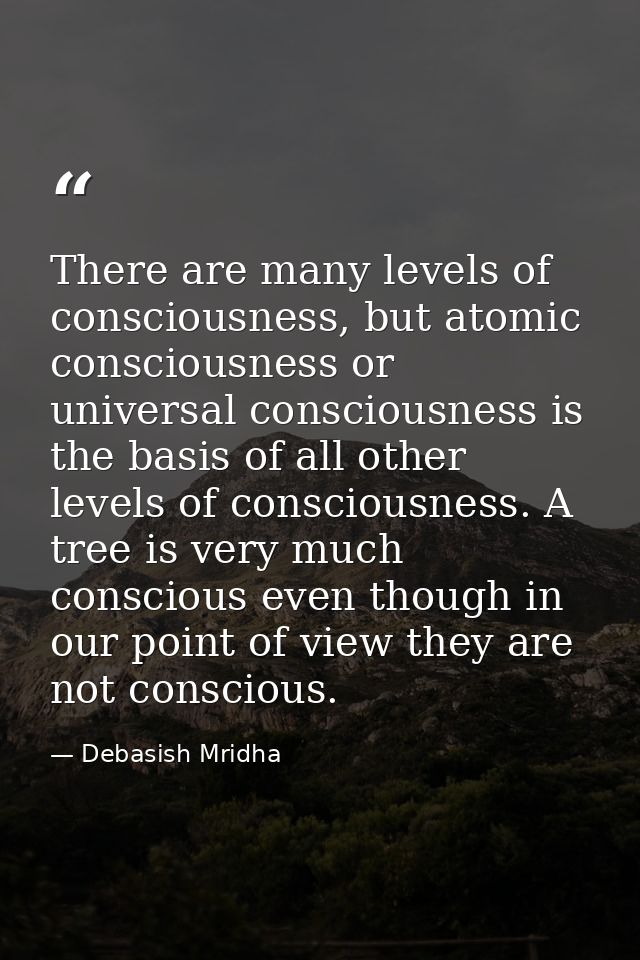 There are many levels of consciousness, but atomic consciousness or universal consciousness is the basis of all other le — Debasish Mridha