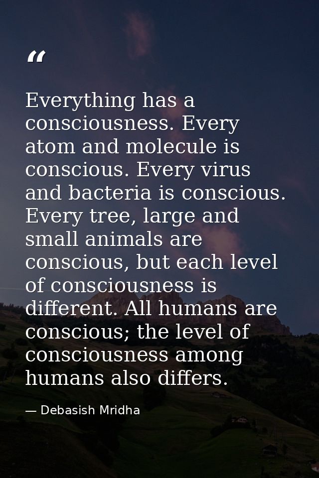 Everything has a consciousness. Every atom and molecule is conscious. Every virus and bacteria is conscious. Every tree, — Debasish Mridha