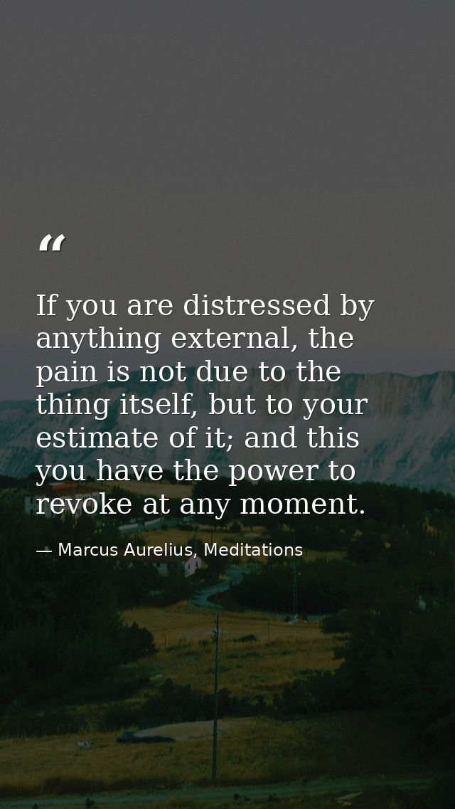 If you are distressed by anything external, the pain is not due to the thing itself, but to your estimate of it; and thi — Marcus Aurelius, Meditations