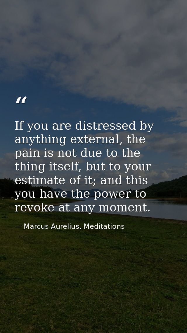 If you are distressed by anything external, the pain is not due to the thing itself, but to your estimate of it; and thi — Marcus Aurelius, Meditations