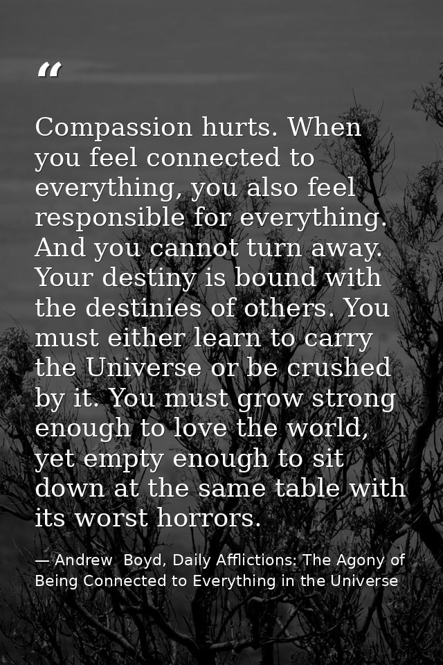 Compassion hurts. When you feel connected to everything, you also feel responsible for everything. And you cannot turn a — Andrew  Boyd, Daily Afflictions: The Agony of Being Connected to Everything in the Universe