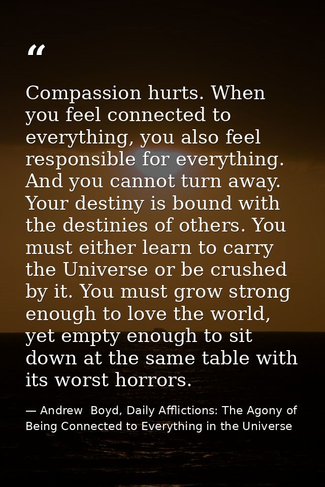 Compassion hurts. When you feel connected to everything, you also feel responsible for everything. And you cannot turn a — Andrew  Boyd, Daily Afflictions: The Agony of Being Connected to Everything in the Universe