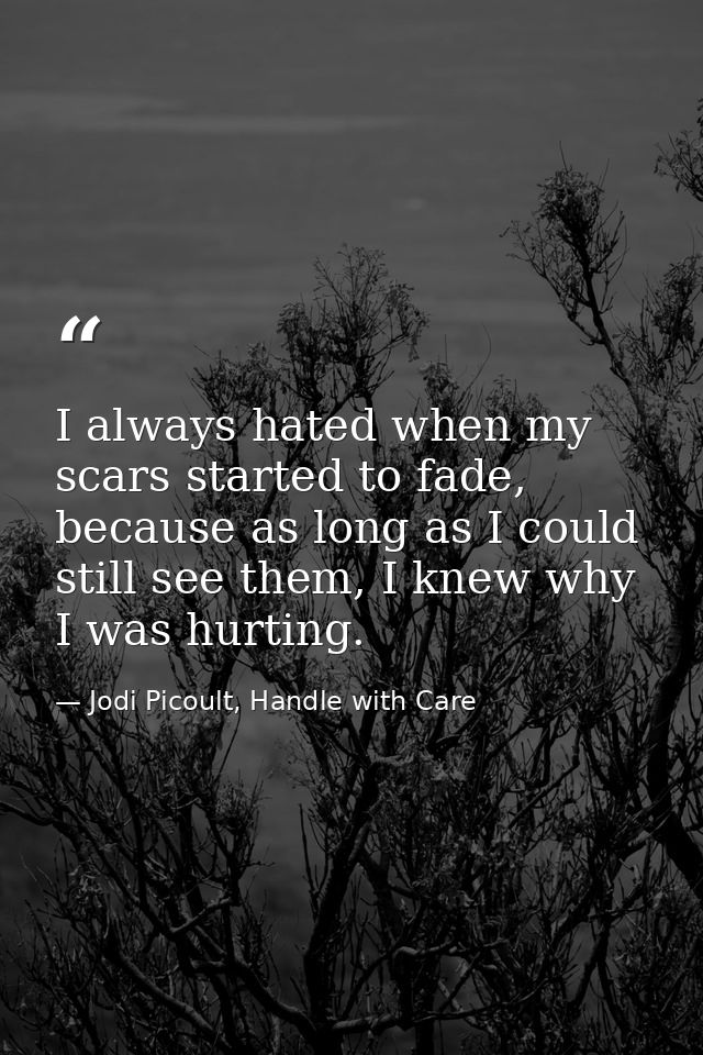 I always hated when my scars started to fade, because as long as I could still see them, I knew why I was hurting. — Jodi Picoult, Handle with Care
