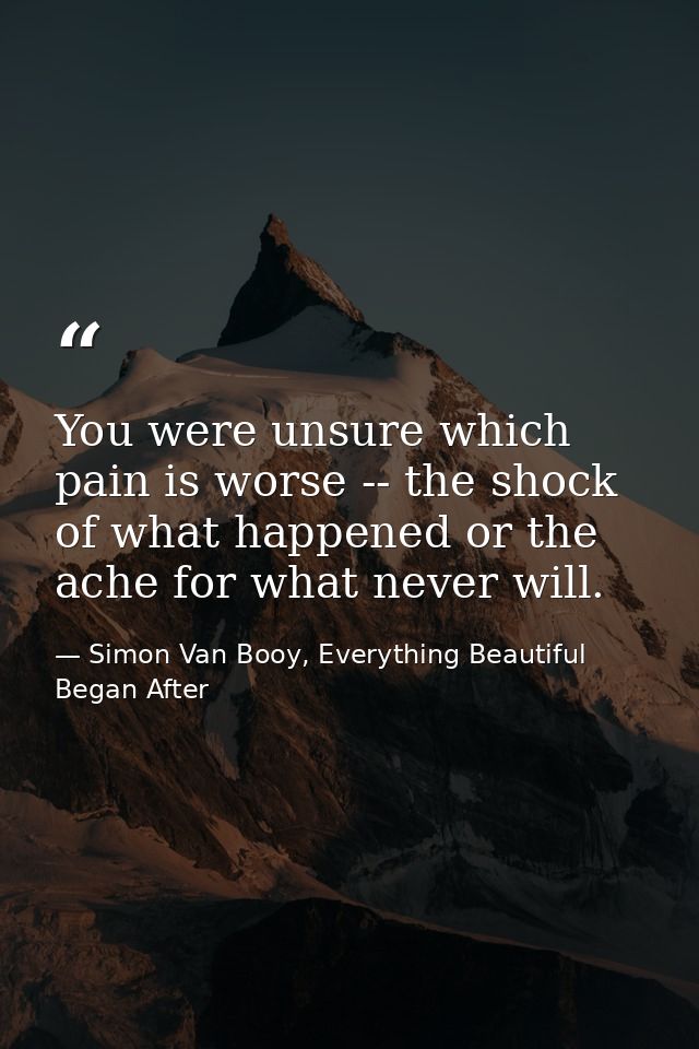 You were unsure which pain is worse -- the shock of what happened or the ache for what never will. — Simon Van Booy, Everything Beautiful Began After