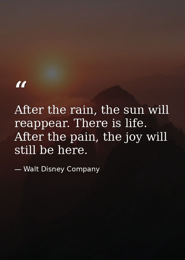 After the rain, the sun will reappear. There is life. After the pain, the joy will still be here. — Walt Disney Company