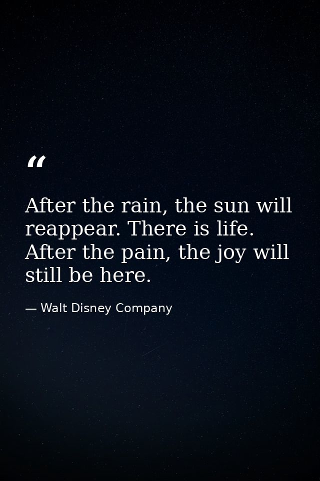After the rain, the sun will reappear. There is life. After the pain, the joy will still be here. — Walt Disney Company