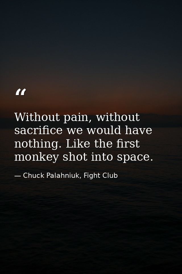 Without pain, without sacrifice we would have nothing. Like the first monkey shot into space. — Chuck Palahniuk, Fight Club