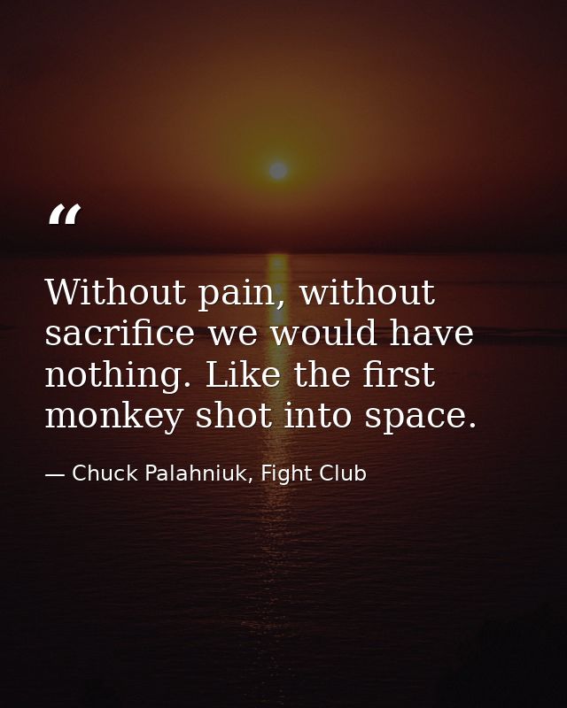 Without pain, without sacrifice we would have nothing. Like the first monkey shot into space. — Chuck Palahniuk, Fight Club