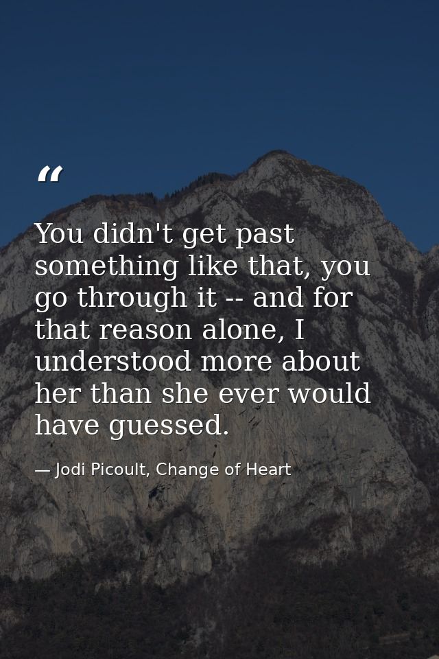 You didn't get past something like that, you go through it -- and for that reason alone, I understood more about her tha — Jodi Picoult, Change of Heart