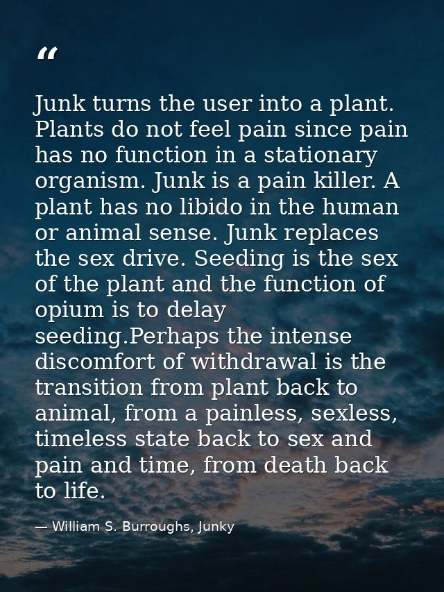 Junk turns the user into a plant. Plants do not feel pain since pain has no function in a stationary organism. Junk is a — William S. Burroughs, Junky