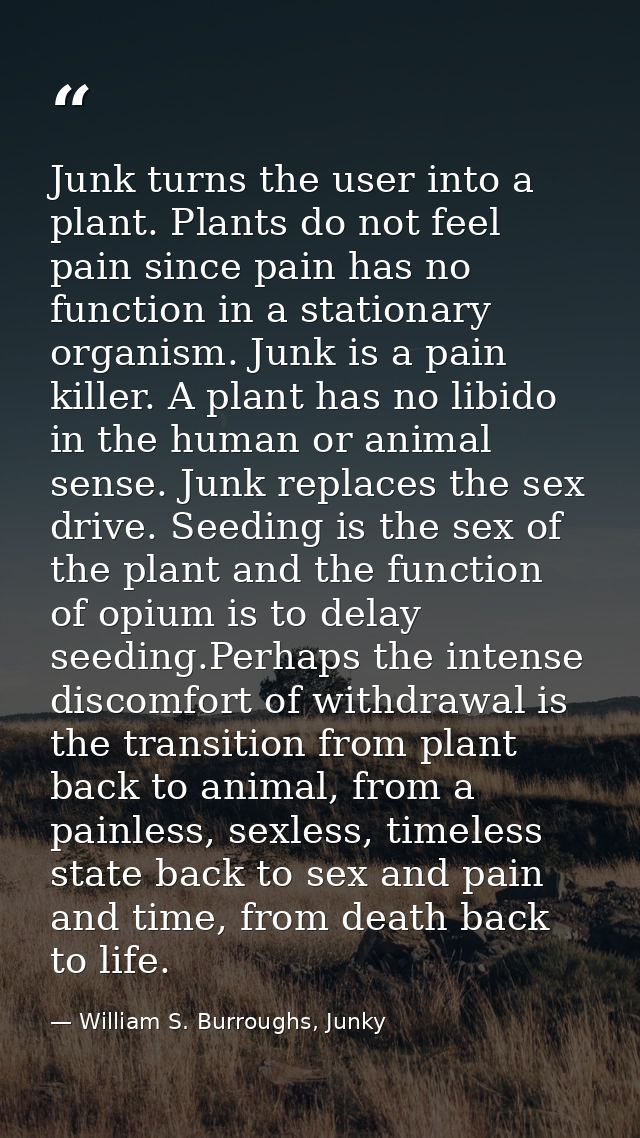 Junk turns the user into a plant. Plants do not feel pain since pain has no function in a stationary organism. Junk is a — William S. Burroughs, Junky