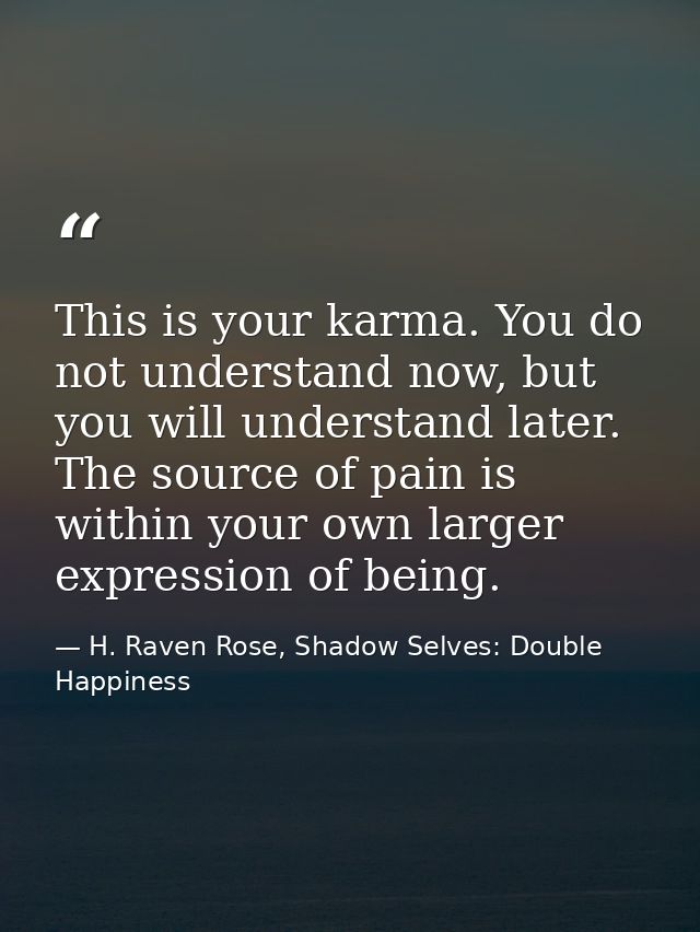 This is your karma. You do not understand now, but you will understand later. The source of pain is within your own larg — H. Raven Rose, Shadow Selves: Double Happiness