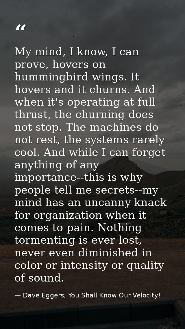 My mind, I know, I can prove, hovers on hummingbird wings. It hovers and it churns. And when it's operating at full thru — Dave Eggers, You Shall Know Our Velocity!