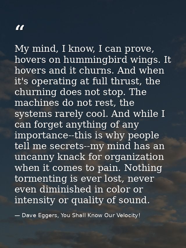 My mind, I know, I can prove, hovers on hummingbird wings. It hovers and it churns. And when it's operating at full thru — Dave Eggers, You Shall Know Our Velocity!
