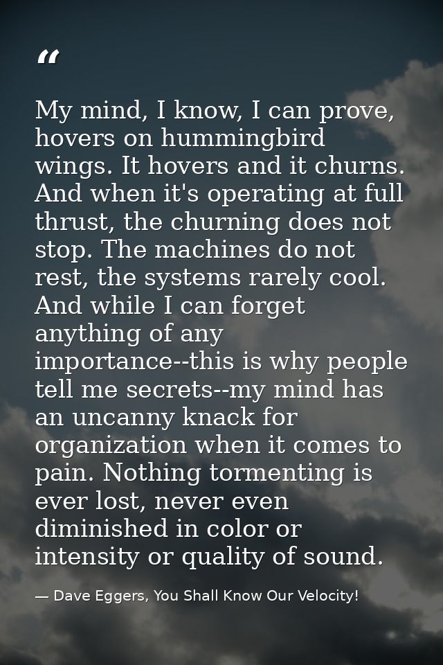 My mind, I know, I can prove, hovers on hummingbird wings. It hovers and it churns. And when it's operating at full thru — Dave Eggers, You Shall Know Our Velocity!
