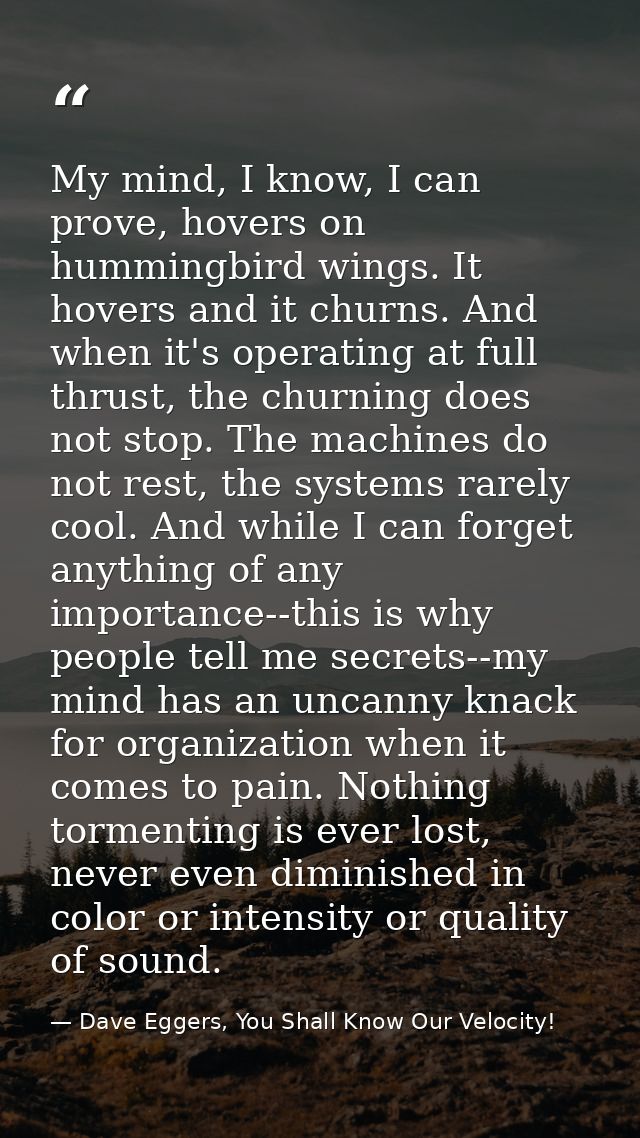 My mind, I know, I can prove, hovers on hummingbird wings. It hovers and it churns. And when it's operating at full thru — Dave Eggers, You Shall Know Our Velocity!