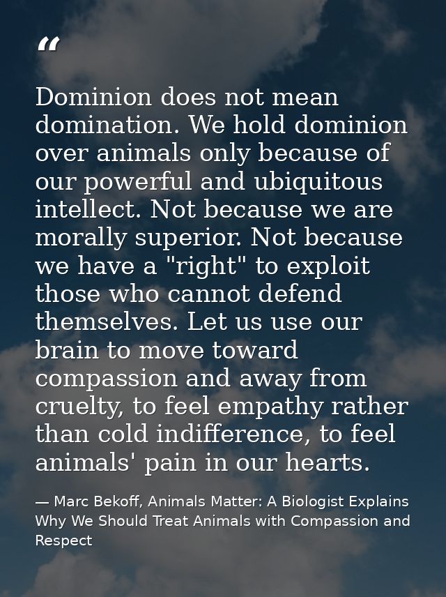 Dominion does not mean domination. We hold dominion over animals only because of our powerful and ubiquitous intellect.  — Marc Bekoff, Animals Matter: A Biologist Explains Why We Should Treat Animals with Compassion and Respect