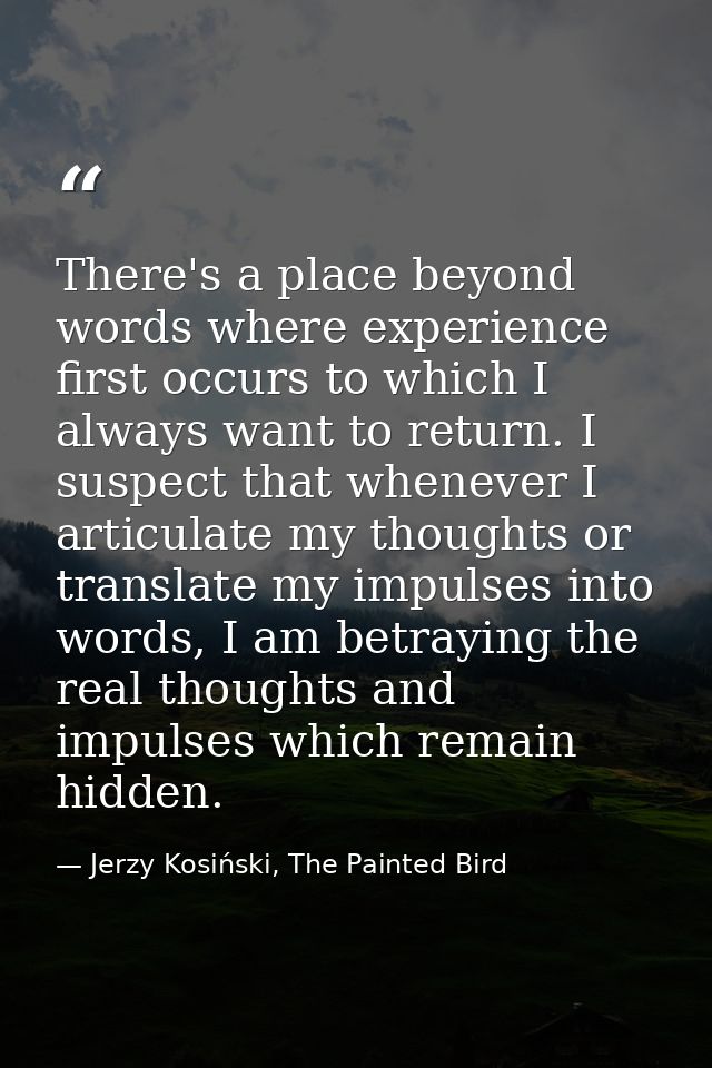 There's a place beyond words where experience first occurs to which I always want to return. I suspect that whenever I a — Jerzy Kosiński, The Painted Bird