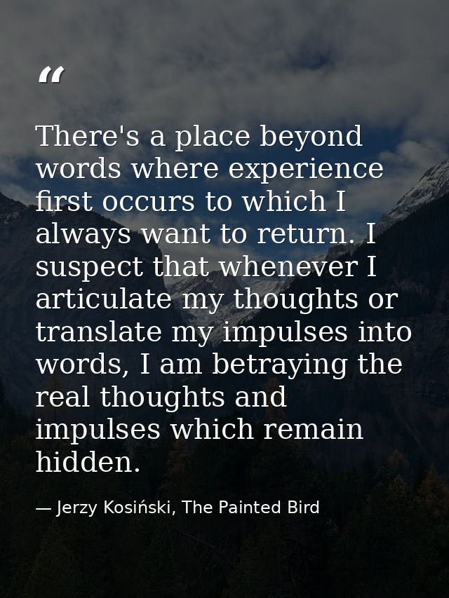 There's a place beyond words where experience first occurs to which I always want to return. I suspect that whenever I a — Jerzy Kosiński, The Painted Bird