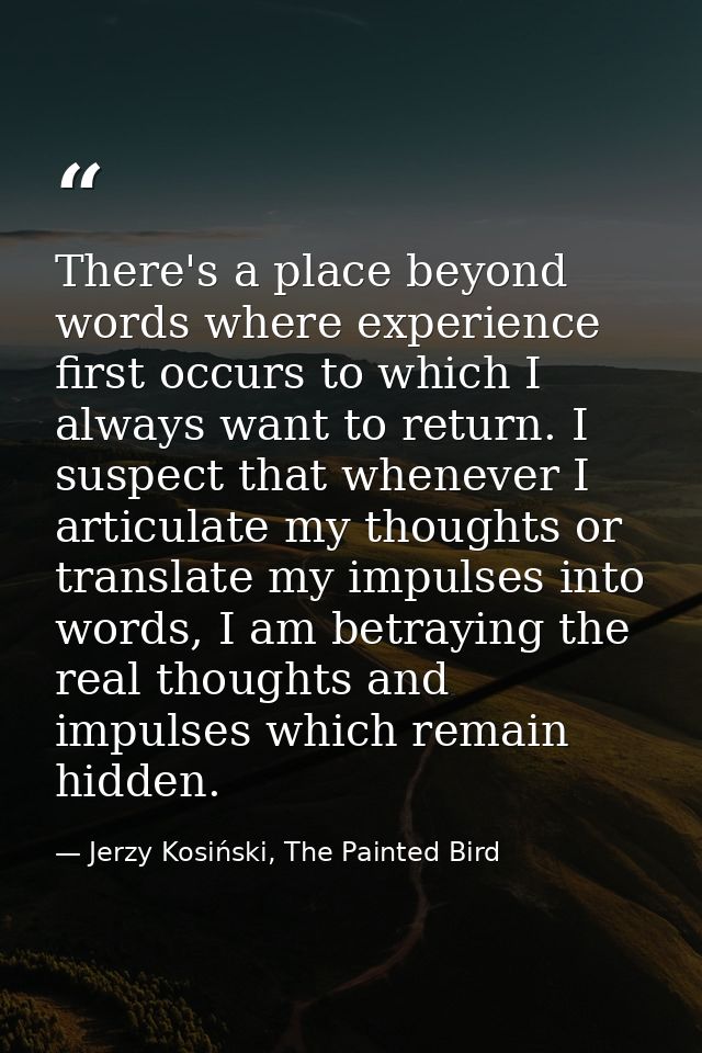 There's a place beyond words where experience first occurs to which I always want to return. I suspect that whenever I a — Jerzy Kosiński, The Painted Bird