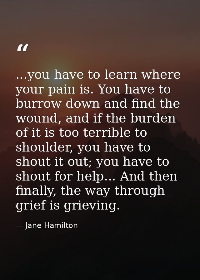 ...you have to learn where your pain is. You have to burrow down and find the wound, and if the burden of it is too terr — Jane Hamilton